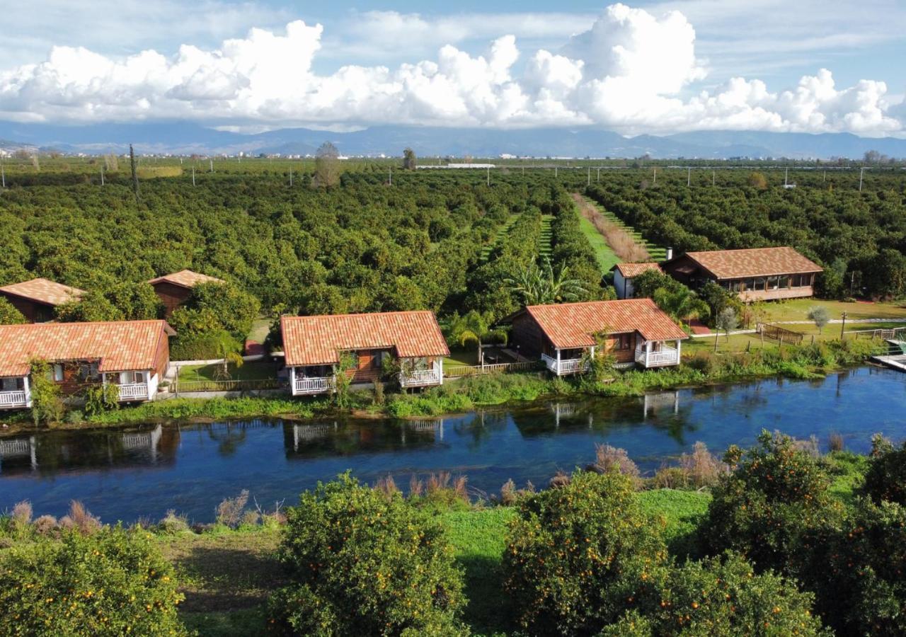 TurkuazKöy Konuk evi Finike Dış mekan fotoğraf